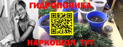 mdma Тара